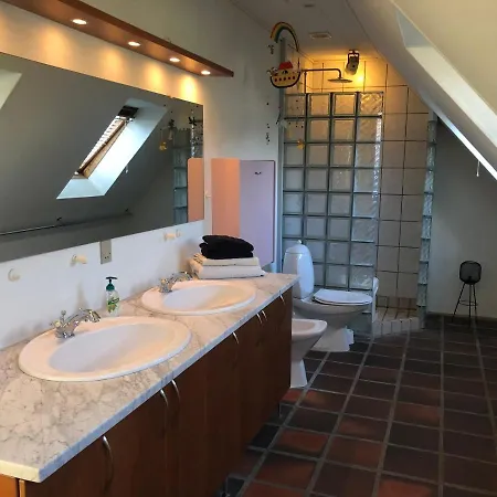 Habitación en casa particular Dejligt Vaerelse Med Eget Bad Og Havudsigt Assens